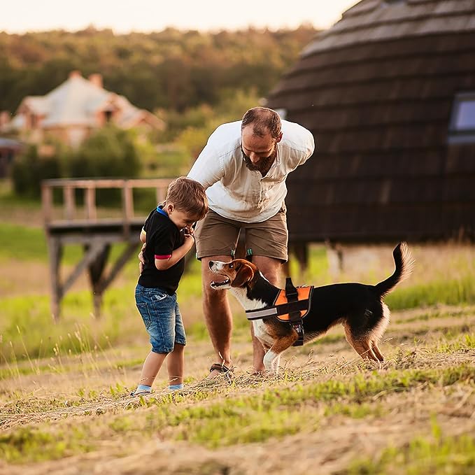 Dogline Dog Harness, Reflective No-Pull Adjustable Vest with Handle for Walking, Training, Breathable, No - Choke Harness for Small, Medium or Large Dogs Room for Patches Girth 22"-28" in Orange-PurrikoPets