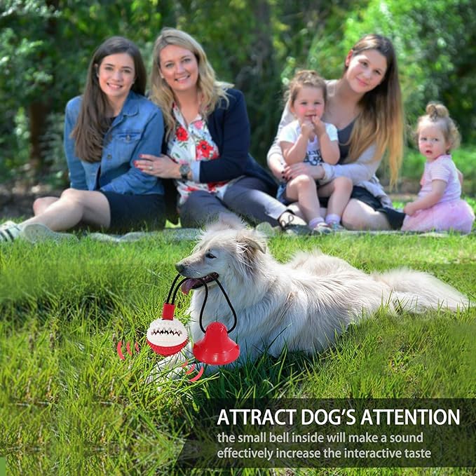 Dog Toys, Dog Chew Toys for Aggressive chewers,Rope with Suction Cup for Puppy Training Treats Teething for Boredom, Small Dog Puzzle Toy Treat Food Dispensing Ball (red)-PurrikoPets