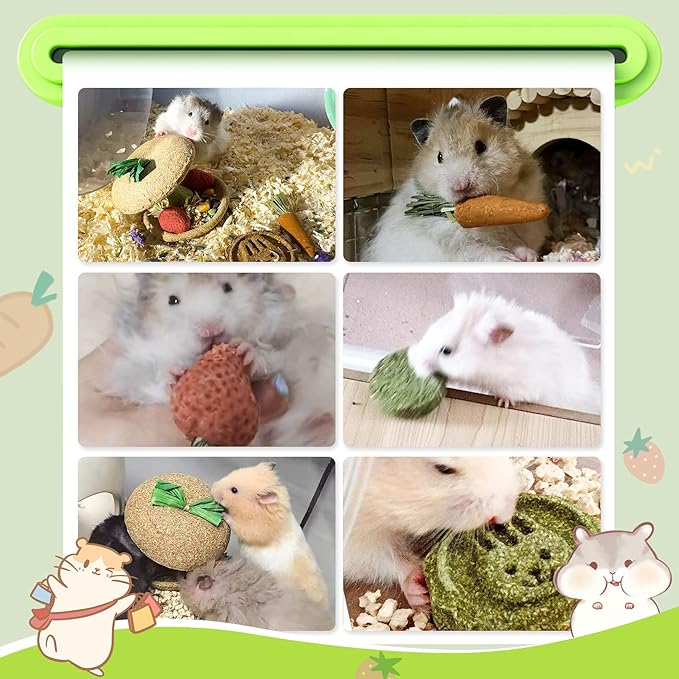 10 PCS Guinea Pig Chew Toys for Teeth, Rabbit Chew Toys Contain Natural Timothy Apple Core, Grass Cake, Carrot and Strawberry;Hamster toys for Bunny Chinchilla Gerbil Dental Care & Treat Teething-PurrikoPets