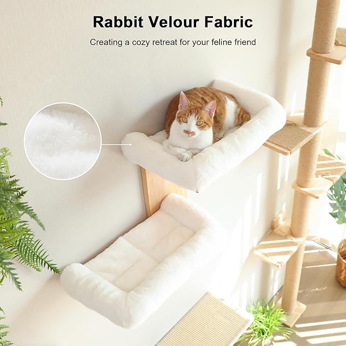 FUKUMARU Cat Wall Shelves, 2 Platform Cats Walls Furniture, Tree Shape Kitten Floating Shelf with Soft Cushion Perch, Solid Rubber Wood for 16 Inch Drywall, Suitable for Climb, Play, Nap-PurrikoPets