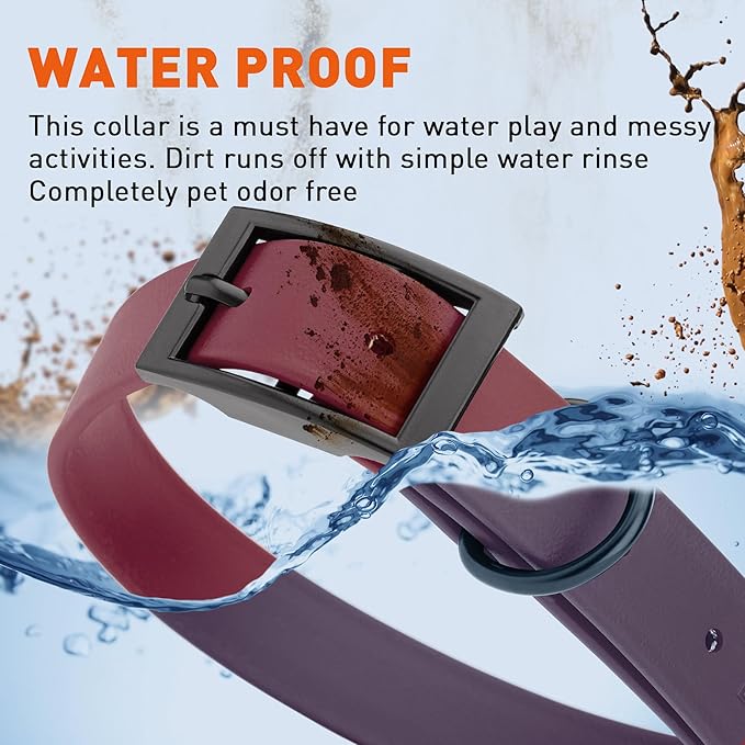 Dogline Biothane Waterproof Dog Collar Strong Coated Nylon Webbing with Black Hardware Odor- Proof for Easy Care Easy to Clean High Performance Fits Small Medium or Large Dogs, Merlot Burgundy-PurrikoPets
