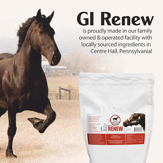 GI Renew, Probiotics for Equine, Immune and Appetite Stimulation, Prebiotics, Digestive Enzymes | Horse Supplement Providing Ulcer Relief and Organic Toxin Binder, 5 LB Pouch-PurrikoPets