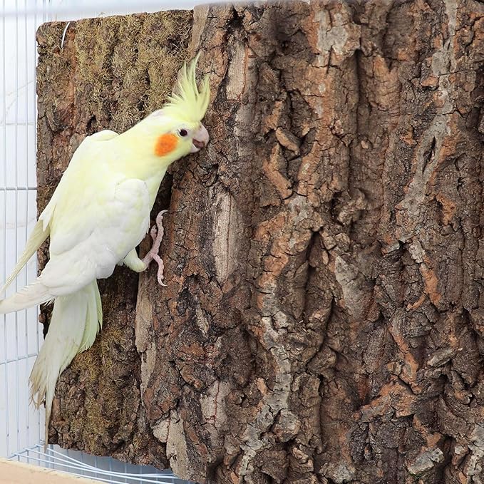 4 Pack Natural Cork Bark Bird Perch Stand, 15.7 × 11.8 inch Parrot Chewing Toys, Birdcage Background Decor Accessories, Bark Toy for Budgie Parakeet Cockatiel Lovebirds Conures Hamster Guinea Pig Rat-PurrikoPets