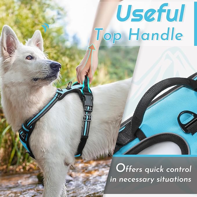 Eagloo Dog Harness Small Sized Dog, No Pull Service Vest with Reflective Strips and Control Handle, Adjustable and Comfortable for Easy Walking, No Choke Pet Harness with 2 Metal Rings, Sky Blue, S-PurrikoPets