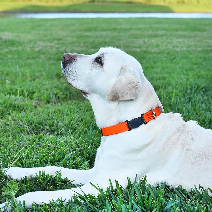 Dogline Biothane Waterproof Dog Collar with Herm Sprenger Black Stainless Steel Quick Release Buckle – Heavy Duty Tactical Durable Collar for Dogs – Comfortable and Safe Pet Collar W1 L 15-25" Orange-PurrikoPets