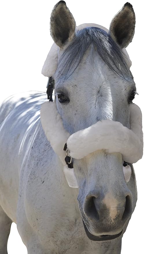ECP Equine Comfort Products Merino Sheepskin Halter Fleece Set for Horses, 100% Natural Wool, Chafe Protection, Breathable Relief & Cushioned Comfort, Machine Washable, 6-Piece Set-PurrikoPets