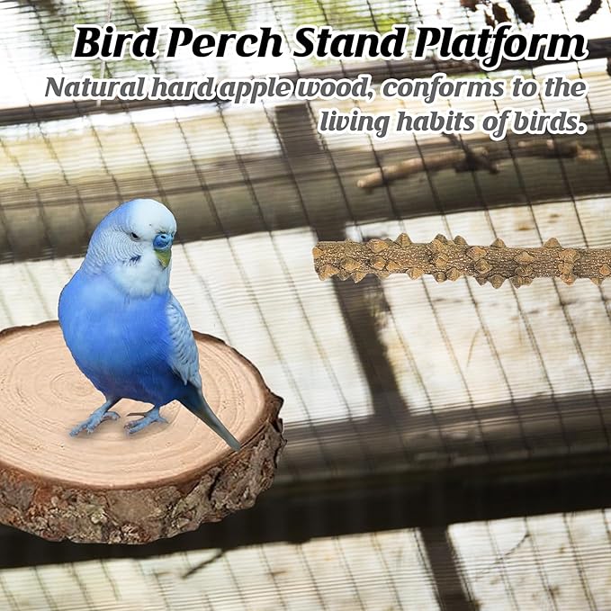 6Pcs Natural Wooden Bird Perch Grape Stick Claw Grinding Fork Bird Perching Branch Claw Grinding Stick Parrot Standing Platform Parrot Cage Chewing Accessories for Parrots Lovebirds Parakeets-PurrikoPets