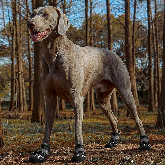 Dog Shoes, Waterproof Dog Boots & Paw Protectors with Anti-Slip Sole, 4pcs/Set Pet Dog Booties, Reflective Dog Shoes for Small Medium Large, Winter Snowy Summer Hot Pavement (Black, 2# (2XS))-PurrikoPets