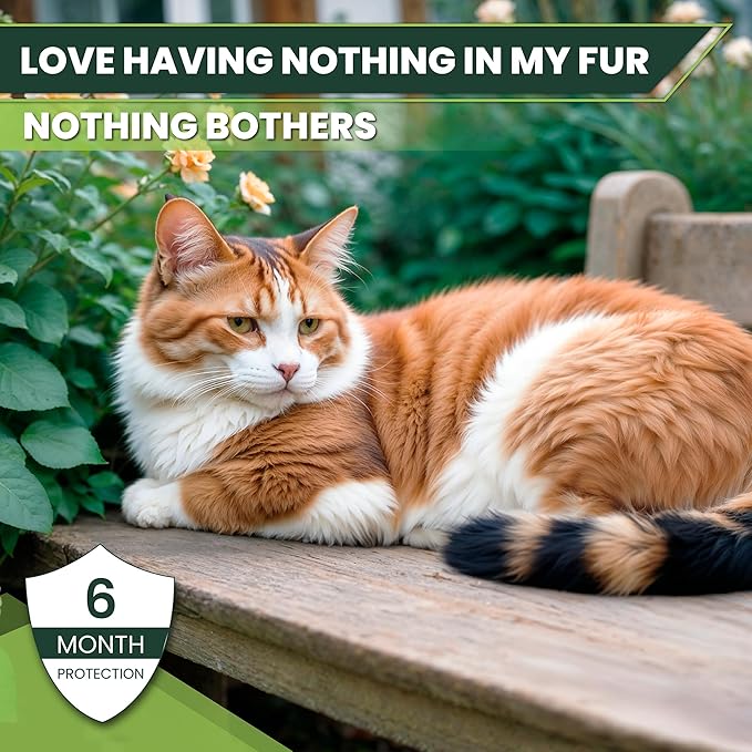 Flea and Tick Prevention for Cats: Flea & Tick Topical for Cats Over 1.5lbs, 6 Dose Flea and Tick Control/Prevention for 6 Months (6 Pack)-PurrikoPets