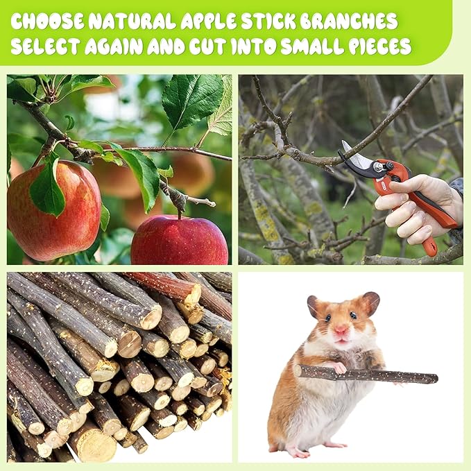 600g Small Apple Sticks Animals Molar Wood Treats Toys for Rabbits Chinchillas Guinea Pig Hamster Gerbil Parrot Bunny Chew Stick Toys Treats, 21.2 OZ-PurrikoPets