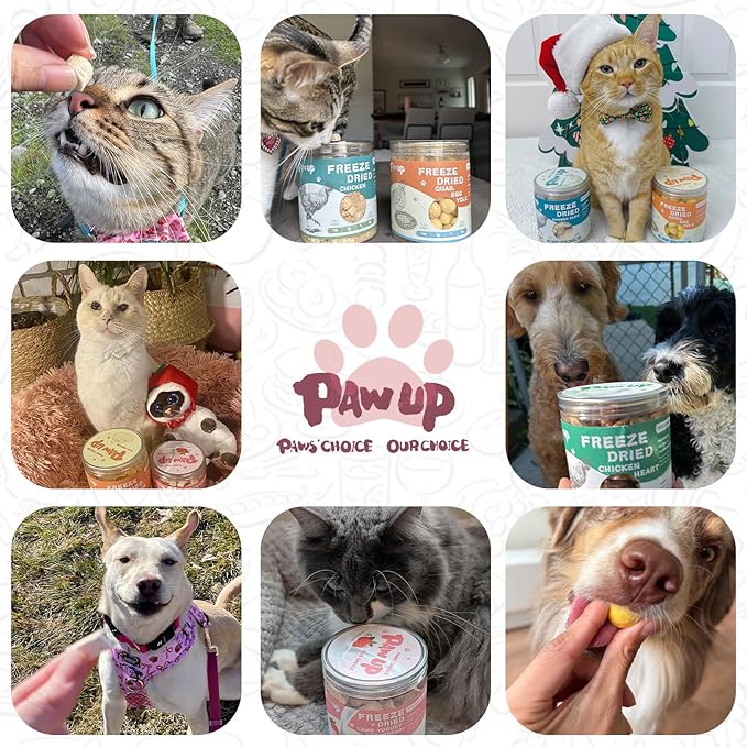 Freeze Dried Sheep Milk Yogurt Flavor with Strawberry,Gentle Sheep Milk Dog Treats for Sensitive Stomachs Puppies, 2.8 oz-PurrikoPets