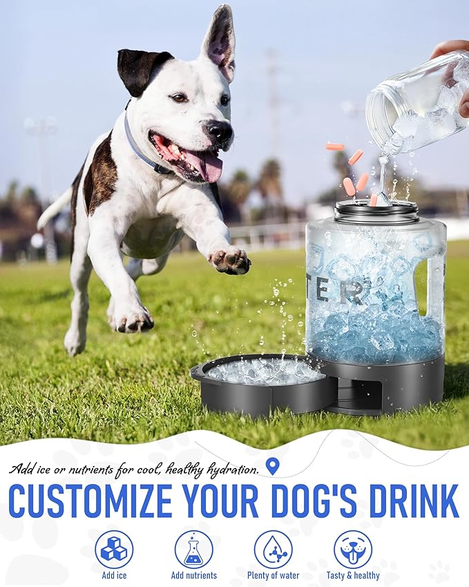 Dog Water Bottle Travel Bowl, 77oz Large Portable Dog Water Bowl Dispenser, Leakproof Pet Drinking Bottle Dispenser for Hiking Camping Walking Travelling Beach Car Trips, BPA Free, Black-PurrikoPets