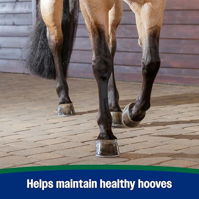 Farnam Horseshoer's Secret Pelleted Hoof Supplement for horses promotes healthy hoof growth, 11lb., 30 day supply-PurrikoPets