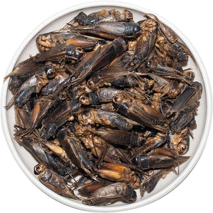 Freeze Dried Crickets – 4.5 Oz High Protein Freeze Dried Crickets, Food for Reptiles, Bearded Dragons, Lizards, Geckos, Birds, Fish,Hedgehogs, Bearded Dragon Food-PurrikoPets