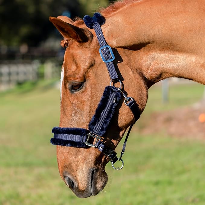 Equinavia Valkyrie Soft Ultra Fleece Padded Adjustable Breakaway Horse Halter - Navy/Navy - Cob-PurrikoPets