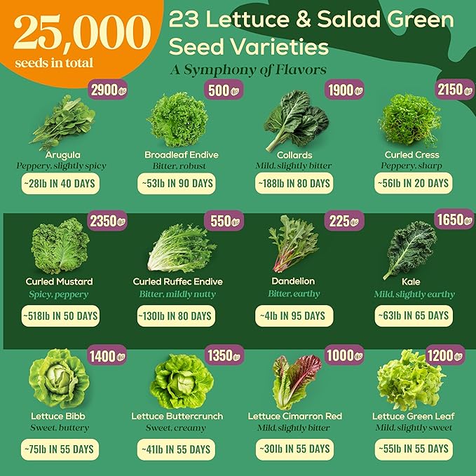 23 Lettuce & Salad Greens Seeds Variety Pack - 25,000+ Non-GMO Heirloom Greens Seeds for Planting Lettuce Indoor & Outdoor: Arugula, Mizuna, Kale, Spinach, Swiss Chard, Mache & More Lettuce Seeds-PurrikoPets