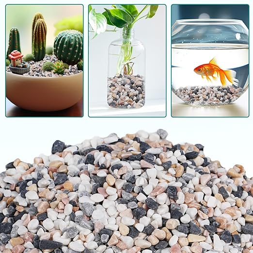 2.5 lbs Small Rocks for Succulents, 1/5 Inch Pebbles for Indoor Plants, Decorative Pea Gravel for Terrarium, Vases, Aquariums, Fish Tank, Drainage Rocks for Potted Plants, Bamboo,Crafts, Cactus-PurrikoPets