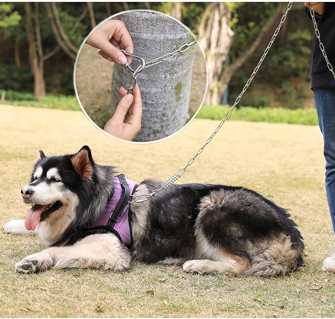 25ft Heavy Duty Chew Proof Dog Tie Out Chain Leash with Shock Absorbing Spring&Lockable Hooks-Up to 200Lbs,Use for Yard,Garden,Camping or Travel-PurrikoPets