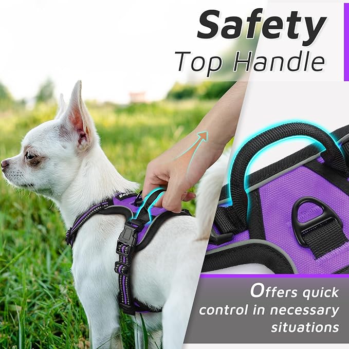 Eagloo Small Dog Harness No Pull, Service Vest with Reflective Strips and Control Handle, Adjustable and Comfortable for Easy Walking, No Choke Pet Harness with 2 Metal Rings, Purple, XS-PurrikoPets