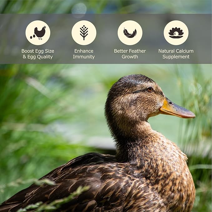 10LB Dried Black Soldier Fly Larvae, More Calcium Than Dried Mealworms, High Protein Chicken Feed, Poultry Treat-PurrikoPets