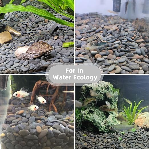 45lb River Rocks Pebbles for Plants & Succulents, Decorative Outdoor Landscaping Garden Rocks, Natural Small Mexican Beach Pebbles Aquarium Rocks Gravel for Fish Tanks Vase Yard Decor-PurrikoPets