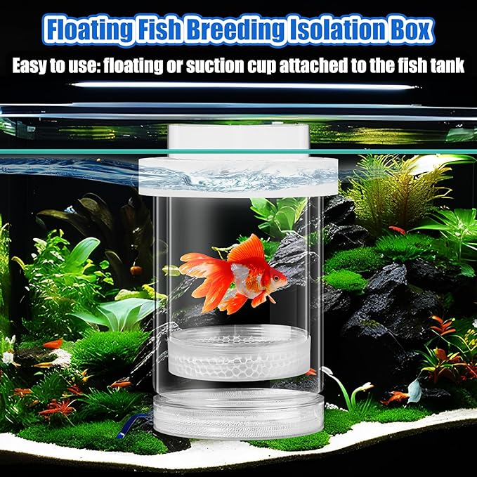 2 Pcs Breeder Box for Fish Tank Aquarium Breeder Separation Net Breeding Box with Suction Cup for Small Fish Shrimp Clownfish Guppy(White,M)-PurrikoPets
