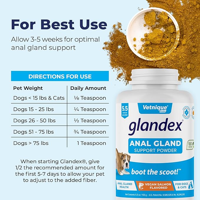 Glandex Dog Fiber Supplement Powder for Anal Glands with Pumpkin, Digestive Enzymes & Probiotics - Vet Recommended (Regular or Advanced Strength) - Boot The Scoot (5.5 oz, Vegan Salmon)-PurrikoPets