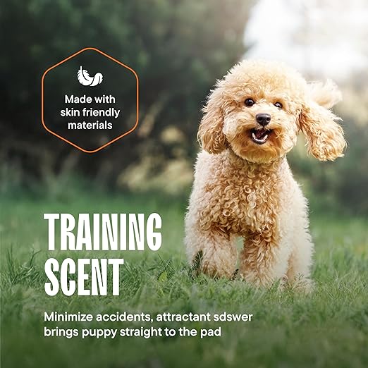 Dog Pads Large Pet Pee Pads for Dogs & Puppy Training 28" x 30" Potty Pads for Dogs [50-COUNT] Leak-Proof Dog and Puppy Pads - Quick-Dry Surface - Heavy Duty Absorbent Disposable Dog Wee Pad Bulk Pack-PurrikoPets