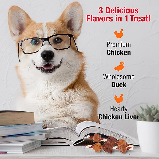 Good'N'Fun Triple Flavored Rawhide Kabobs for Dogs-PurrikoPets