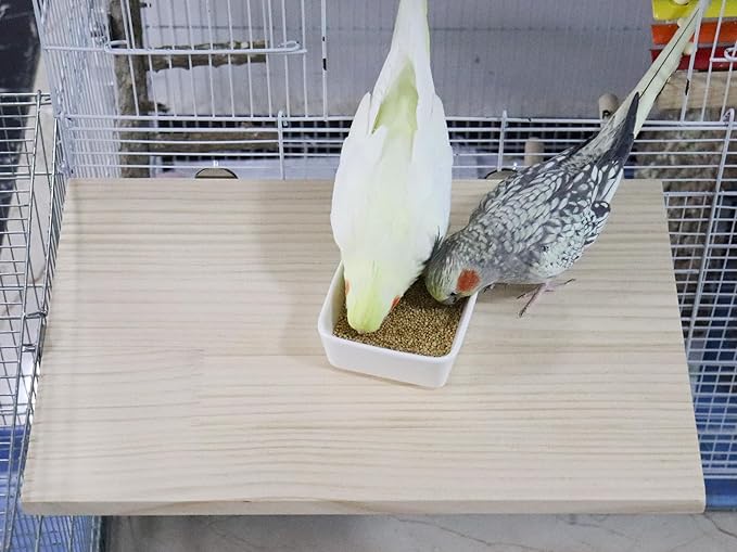21.7 × 13.8 Inches Large Bird Perch Stand Platform, Natural Wooden Small Animals Cage Accessories, Rectangle Stand Perch Shelf for Parrot Parakeet Cockatiel Rat Hamster Guinea Pig Conure Chinchillas-PurrikoPets