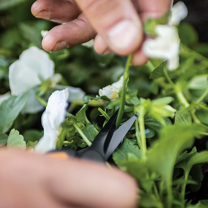 Fiskars 6" Pruning Scissors (2-Pack) for Flowers, Buds, Weeds and Small Plants, Garden Snips with Resin Resistant Nonstick Stainless Steel Blades, Gardening Trimmers with Comfortable Handle-PurrikoPets