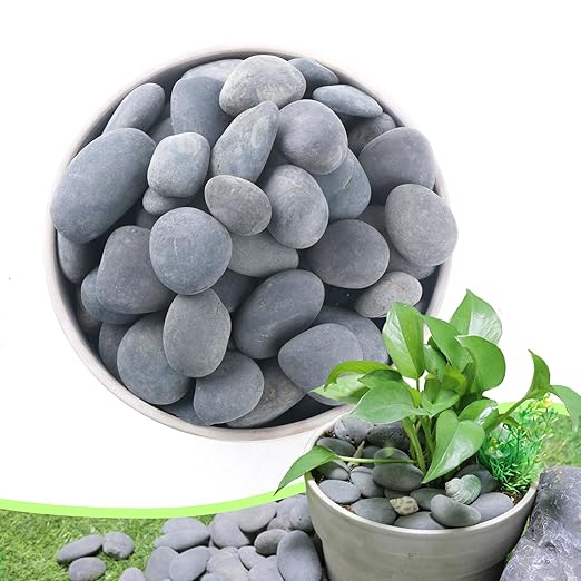 2.4LB River Rocks,Mexican Beach Pebbles for Plants,Potting,Garden Landscape Stone Paving Stone Grey 1Inch - 2Inch-PurrikoPets