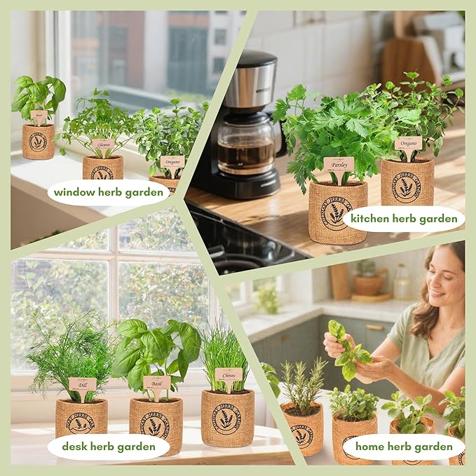 10 Indoor Herb Garden Kit- Burlap Pots, Organic Seeds, Herb Garden Planter Indoor Kit, Easy Window & Kitchen Herbs Growing Kit, Cilantro, Basil, Sage, Oregano, Parsley, Dill, Chives etc.-PurrikoPets