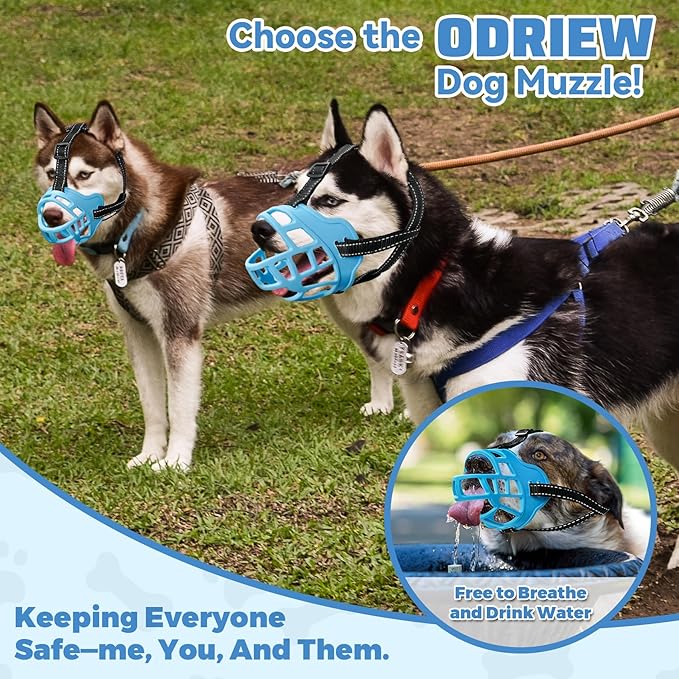 Dog Muzzle for Large Dogs, Breathable Basket Muzzles for Small, Medium and X-Large Aggressive Dog, Allows Panting Drinking, Suitable for Grooming Trimming Training (5, Luminous Blue)-PurrikoPets