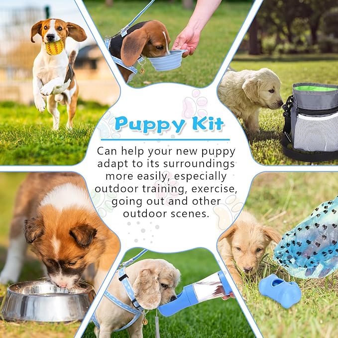 65 Pcs Puppy Supplies Starter Kit Small Dog Essentials Includes Dog Leash, Toys, Bowl, Brushes, Water Bottles, pet Blankets Puppy Accessories for New Welcome Gift Supplies(Cool,Blue)-PurrikoPets