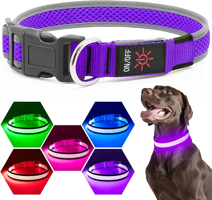 Flashseen LED Dog Collar, USB Rechargeable Light Up Dog Collar Lights, Adjustable Comfortable Soft Mesh Safety Pet Collar for Small, Medium, Large Dogs (Purple, Small)-PurrikoPets