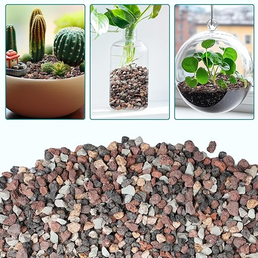 5lbs Terrarium Rocks for Pots Indoor, Succulent, Cactus, Bamboo, Bonsai Tree, 1/5 Inch Rocks for Planters Drainage, Mixed Color Small Lava Rocks for Top-Dressing-PurrikoPets