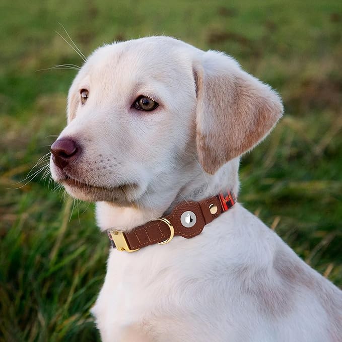 AirTag Dog Collar for Small Medium Large Breed - Adjustable Cute Pattern Dog Collar with Airtag Holder - Soft Leather Tracker GPS Apple Air Tag Pet Collars (Medium, 14"-18" Neck Fit, Western)-PurrikoPets