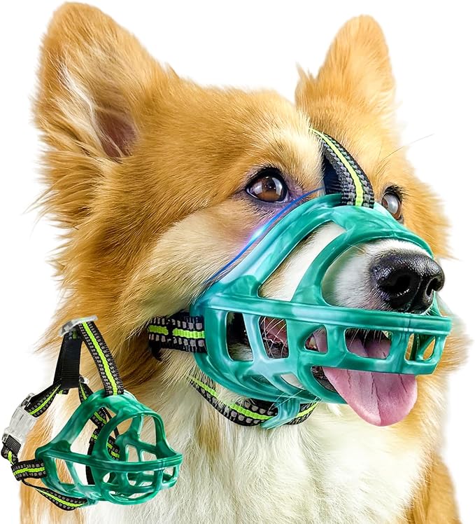 Dog Muzzle, Basket Muzzle for Small Medium Large Dogs, Anti-Biting and Chewing, Lightweight & Sturdy Cage Design, Allows Panting & Drinking, Ideal for Grooming & Training(Green Size M)-PurrikoPets