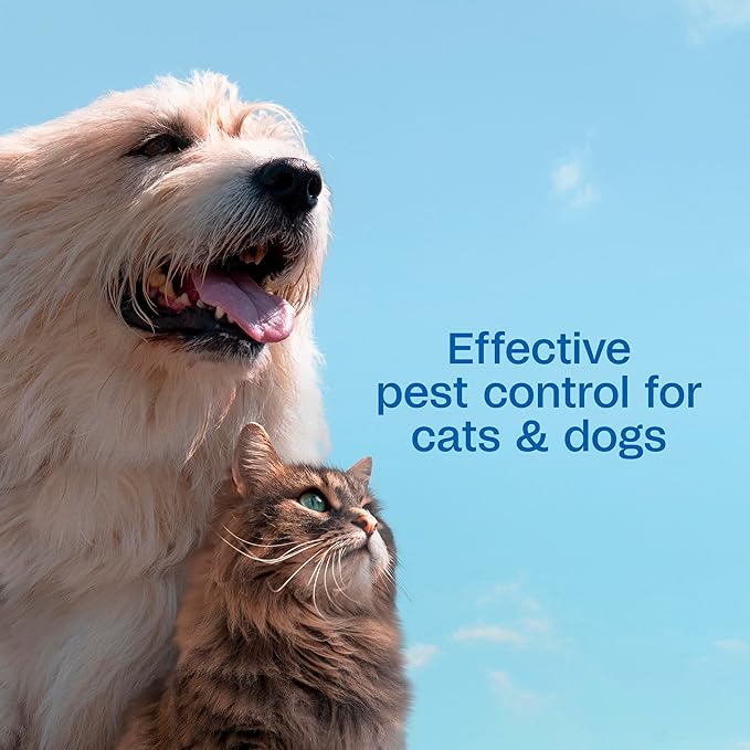 ADAMS Plus Flea & Tick Shampoo with Precor IGR for Cats, Kittens, Dogs & Puppies Over 12 Weeks Of Age, Sensitive Skin Flea Treatment, Kills Adult Fleas, Flea Eggs, Ticks, and Lice, 1 Gallon-PurrikoPets