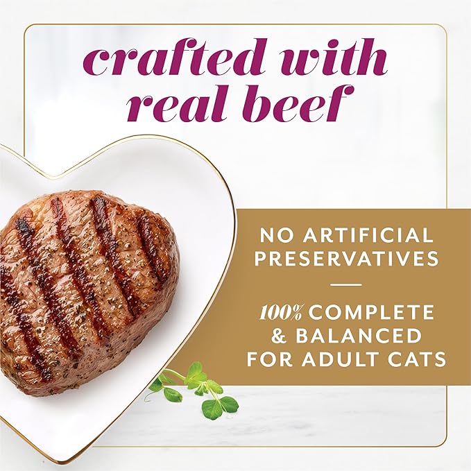 Fancy Feast Gems Pate Cat Food Mousse with Beef and a Halo of Savory Gravy Cat Food - (Pack of 8) 4 oz. Boxes-PurrikoPets