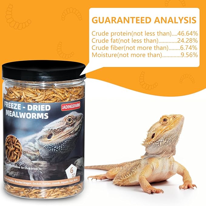 Freeze Dried Mealworms 6 Oz - High Protein Pet Food for Reptiles, Bearded Dragons, Birds & Hedgehogs - Nutrient-Packed Treat for Lizards, Geckos, Turtles, Chickens-PurrikoPets