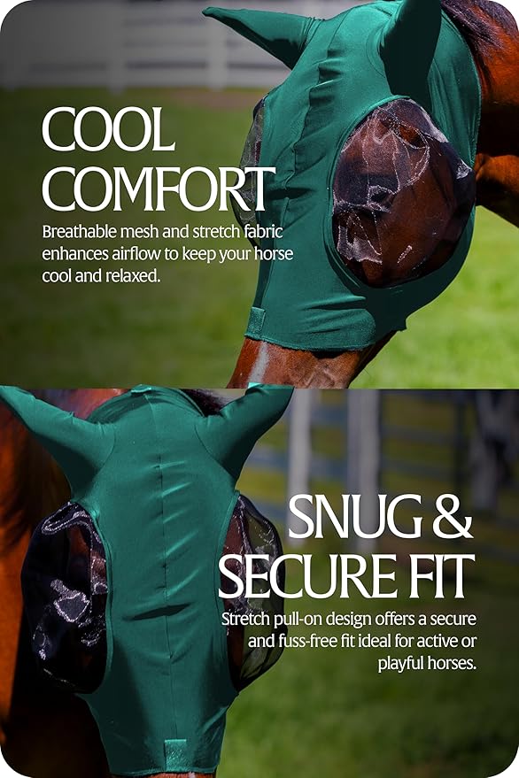 Equinavia Bug Out Fly Mask | Against Flies, Insects, UV Rays - Turquoise - Pony-PurrikoPets