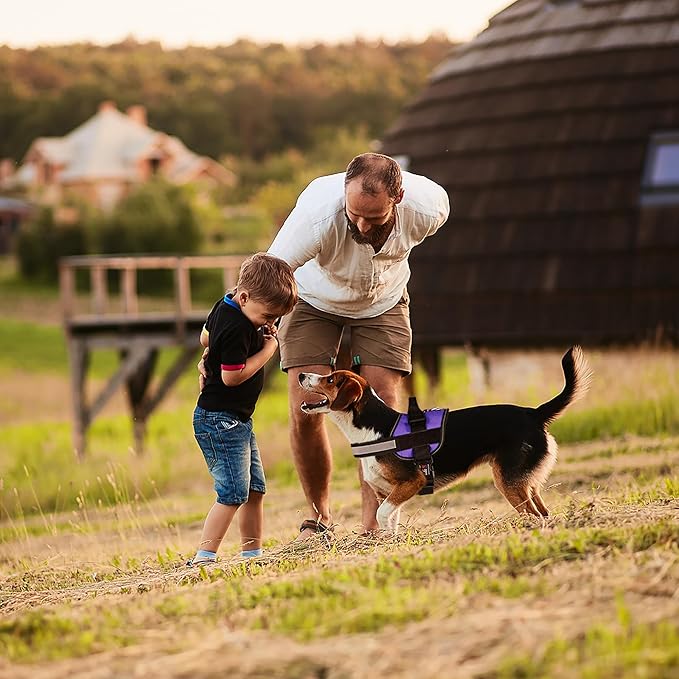 Dogline Dog Harness, Reflective No-Pull Adjustable Vest with Handle for Walking, Training, Breathable, No - Choke Harness for Small, Medium or Large Dogs Room for Patches Girth 15 to 18 in Purple-PurrikoPets