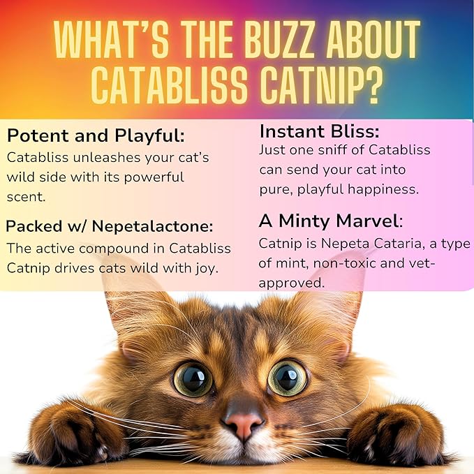 1oz Cat Nip for Cats, Turbo Charging Blend for Refillable Catnip Toys, 100% Essential Natural Cat Weed Treat, Non-Addictive, Enhancing Play for Indoor Cats-PurrikoPets