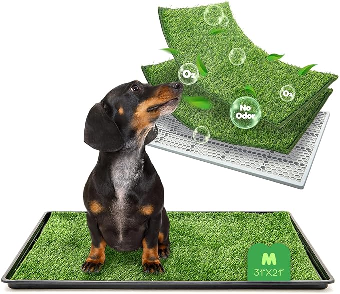 Dog Grass Pad with Tray, 31×21in Medium Litter Box, 2×Grass Pad for Dogs Potty Washable, Thick Soft Odor-Free Hemmed Dog Pee Grass, Indoor Potty Training Balcony-PurrikoPets