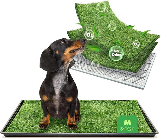 Dog Grass Pad with Tray, 31×21in Medium Litter Box, 2×Grass Pad for Dogs Potty Washable, Thick Soft Odor-Free Hemmed Dog Pee Grass, Indoor Potty Training Balcony-PurrikoPets