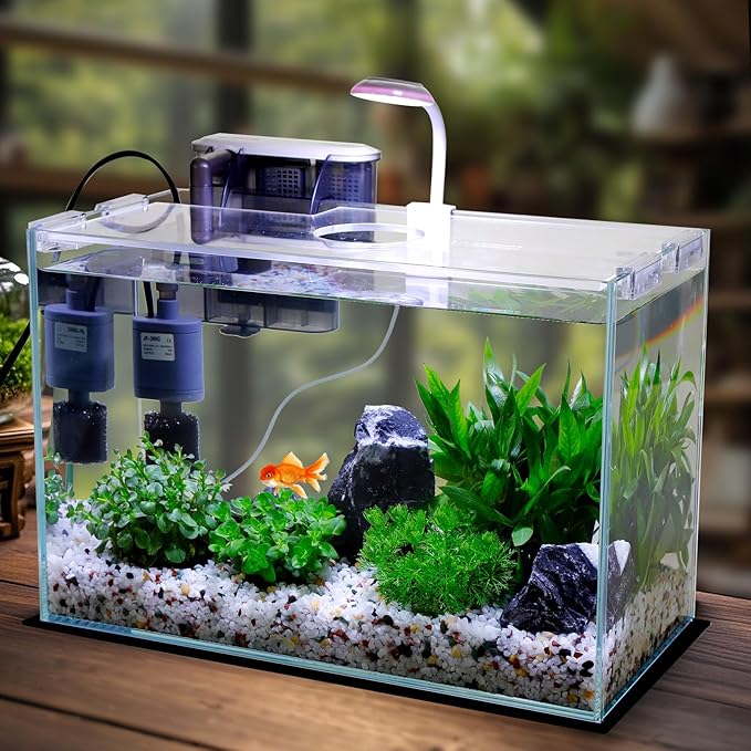 5 Gallon Glass Small Fish Tank, Betta Fish Tank Starter Kit with Filter, Lights, Lid.-PurrikoPets