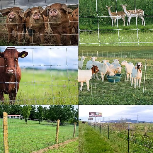 Farm Fence 6ft x 100ft Heavy Zinc Coating Field Wire Fencing, Deer Fence, Galvanized Livestock Fence,Goat Fence,Hog Wire Fencing, Garden Fencing Used to Yard and Garden-PurrikoPets