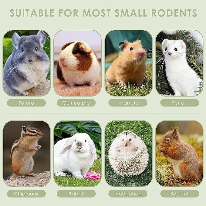 ERKOON Timothy Hay Sticks,Rabbit Chew Toys for Teeth Natural Molar Sticks Rabbits Treats for Bunnies, Chinchilla Guinea Pigs, Gerbil, Hamster (50 Pcs)-PurrikoPets